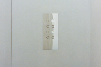 Timothy Crowley